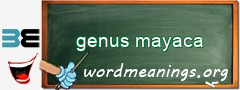 WordMeaning blackboard for genus mayaca
